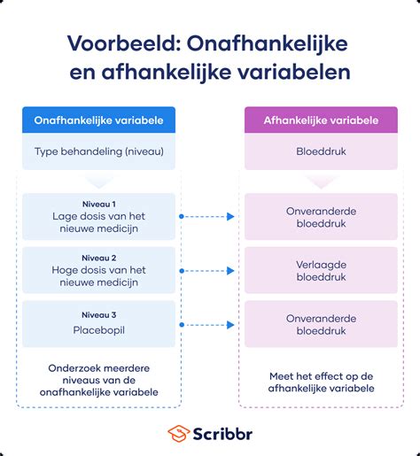 afhankelijk en onafhankelijke variabele|Een introductie tot verschillende soorten variabelen 